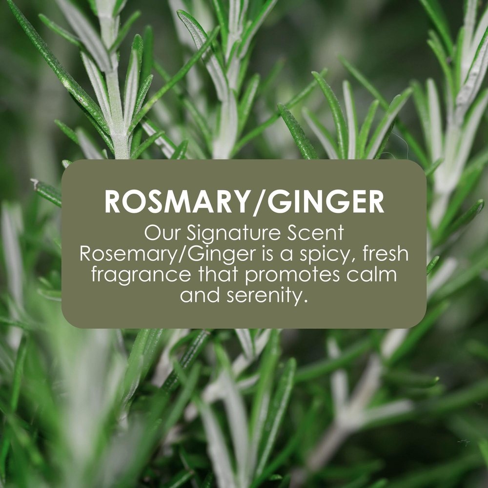 Jean & Len - Hand & Body Wash Rosemary und Ginger im Nachfüllbeutel 1,5 L